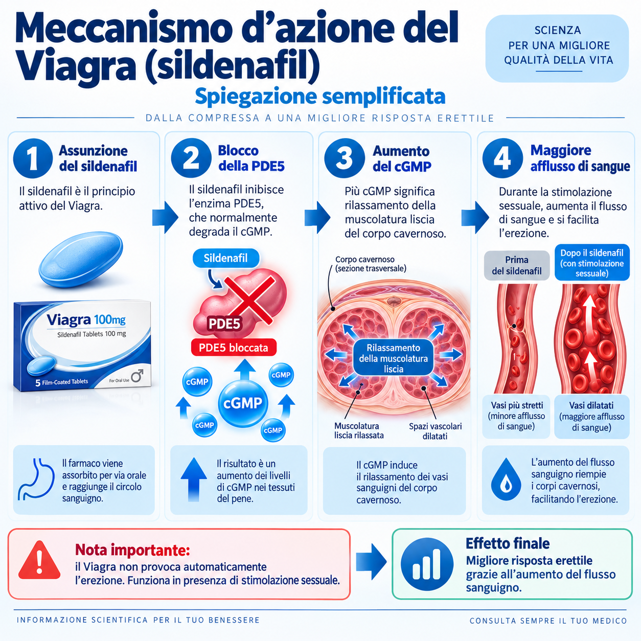 Come funziona Viagra